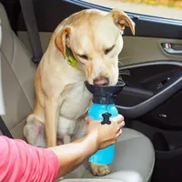 Travel water bottle for dogs