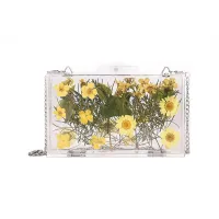 Dried daisy flowers Aesthetic transparent bag