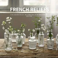 10 pcs of transparent relief vases for hydropon plants