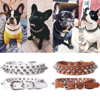 Modern leather collar for dogs with sticky tips