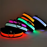 Glowing collar for pets