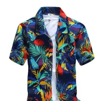 Men's Hawaiian shirt - 2 variants