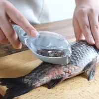 Portable fish scale scraper and grater with storage box