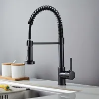 Thorough work in the kitchen with a professional faucet: Single-handed shower, for restaurants and households.