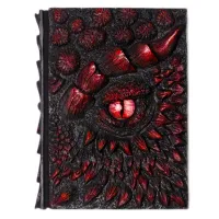 A5 Dragon's Eye embossed resin diary