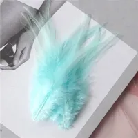 Decorative cock feathers 10-15 cm 50 pcs