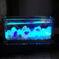 Shining phosphorus decorative stones into aquarium/flower pots