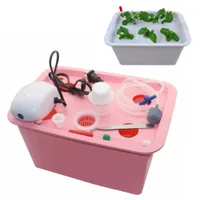 Domáce záhradné hydroponický box