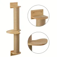 Stabilna drewniana wieża dla kotów z zadrapaniami i zabawką dla