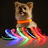 Practical collar with LED strap for improved visibility - USB power supply, more colors