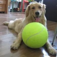 Mingiuță de tenis gigant pentru câini - Mingiuță Mega Jumbo pentru mestecat, antrenament și joacă