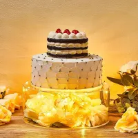 1/3 Pcs Patch Na Cake Pro Dessert stôl, akrylový Valček na svadobné tortu, transparentné plnenie Holder Na tortu, dekoratívny stojan na tortu s LED osvetlenie pre svadobné oslavy narodeniny, potreby strany, dekorácie tabuľky
