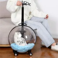 Moderné praktické priehľadné prepravné puzdro pre mačky a psy