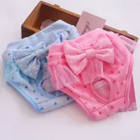 Practical modern original washable panties for dogs