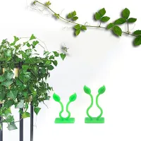 Clamps for plants leaves 100 pcs