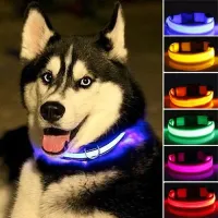 Lighting LED collar for small and medium dogs - for safe night walks