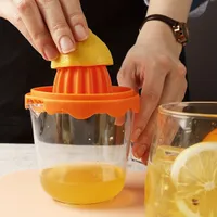 Multi-functional domestic citrus press