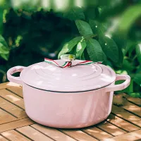 A versatile cast-iron pot with non-sticky surface for induction