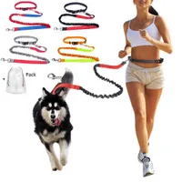 Resistant elastic nylon guide for dogs for running and walking - Mummifying guide with comfortable handle - Ideal for active dogs and owners