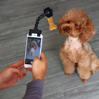 Nadčasový gadget pre perfektné fotografie vašich domácich miláčikov