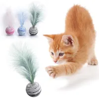 Cat toy - ball with feather