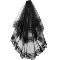 Beautiful lace veil