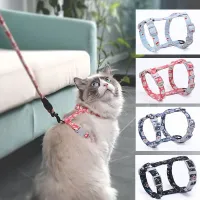 Coloured leash with straps for cats