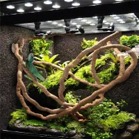 Sztuczna gałąź do wspinaczki do terrarium C770