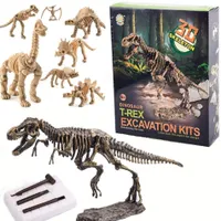 3D Dinoszaurusz csontjai