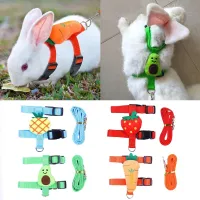 Moderní kšíry s vodítkem pro králíky s designovým detailem ovoce a zeleniny - více barev