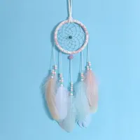 Dream Catcher