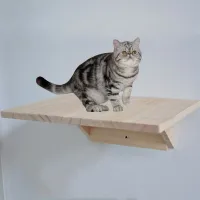 Wiszące drewniane półki - kroki dla kotów