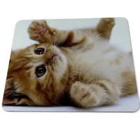 Tapis de souris avec impression de chatons - 5 variantes