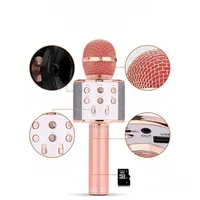 Karaoke microphone with professional settings - various colours Florian