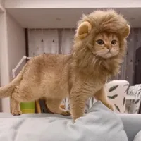 Uroczy kostium z lwią grzywą dla kotów - kilka rozmiarów