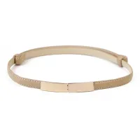 Thin metal belt with gold buckle