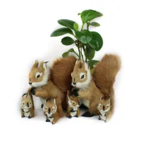 Dekoráció mókus