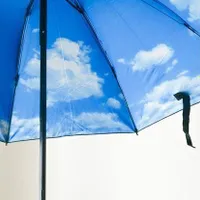 Folding umbrella