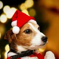 Vianočný klobúk pre psov Claret