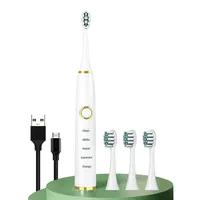 Rechargeable sonic electric toothbrush with timer