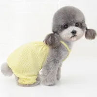 Trends of single color clothing for small dogs - more variants