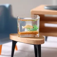 Trendy miniature aquarium into the dollhouse
