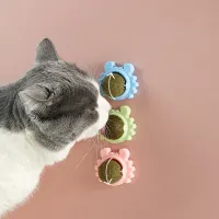 Aranyos ragadós játék macskaházikóval - 3 színben