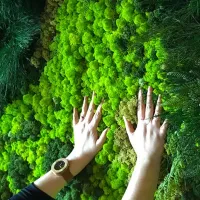 Artificial decorative moss in various colours