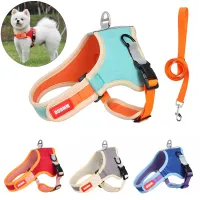 Stylish harness with leash for small dogs made of soft artificial leather