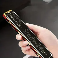 Harmonica 24 trous : Performance professionnelle pour débutants et étudiants adultes