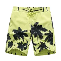 Boy shorts with palm trees - 2 colors