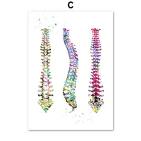 Tablou modern cu anatomie colorată