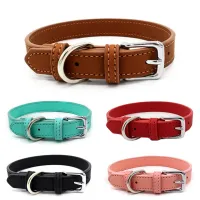 Luxury collar in imitation of skin for cats and dogs of small size - more colors Plinius