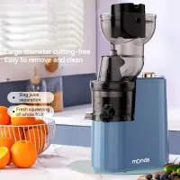 Two current worm juicer, Original juice machine
